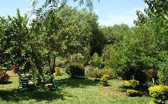 Kudu Lodge & Camp Karatu Luaran gambar